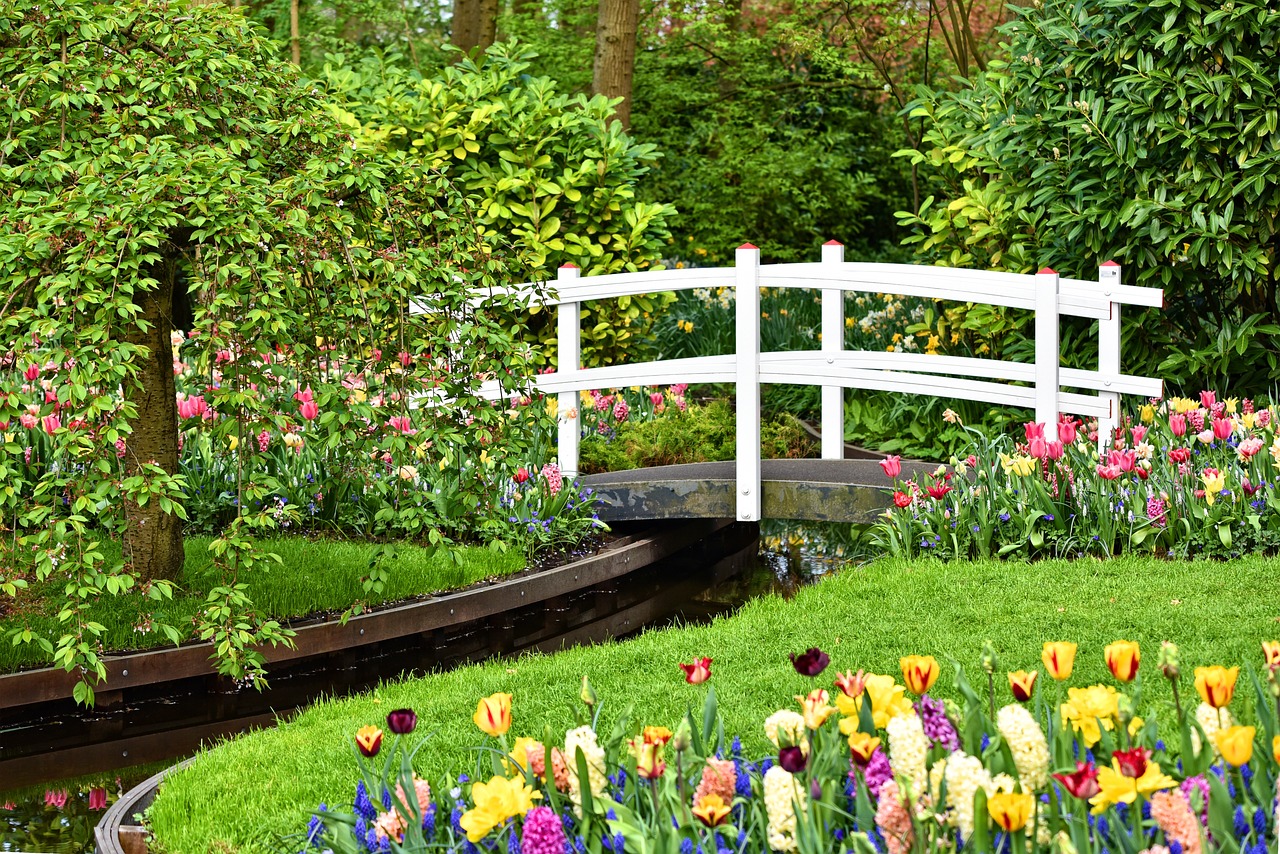 How to Design a Sensory Garden for Kids